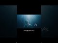大ヒット上映中🎬 映画『あの星が降る丘で、君とまた出会いたい。』主題歌「邂逅」