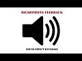 Microphone feedback sound effect