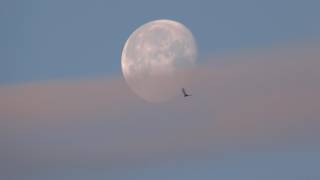 Moon Veiled Cloud 30Xzoom Mesiac Zastrel Zrak 30Xzoom