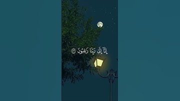 قران كريم اجر لي ولكم القارئ شريف مصطفى