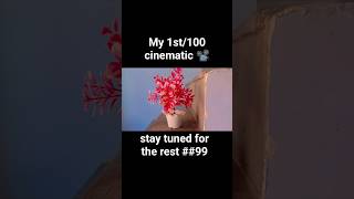 learn cinematic video editing #cinematic #videoediting