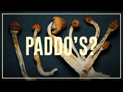 Video: Hoe Het Is Om Paddo's Te Nemen En Wat Je Moet Weten Voordat Je Paddo's Doet