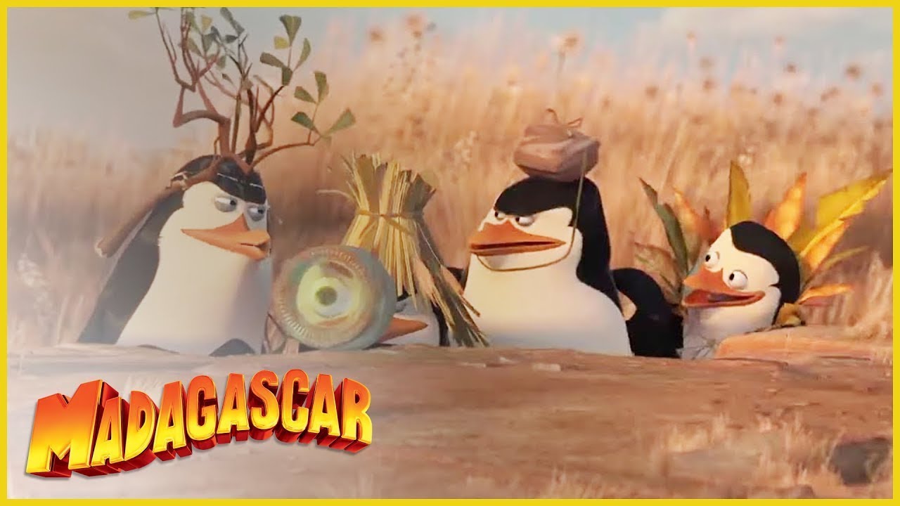 DreamWorks Madagascar en Español Latino | Lo Mejor de los Pingüinos Comp | Dibujos Animados