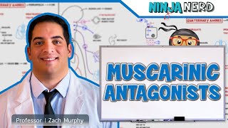 Autonomic Pharmacology | Muscarinic Antagonists