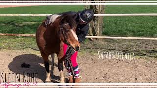 Klein Rohe Eröffnungs We 2019 Es Gibt Nur Ein Gas - Vollgas