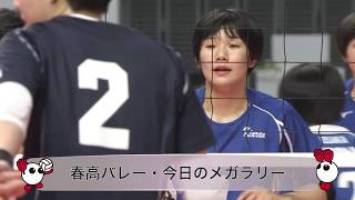 きょうのメガラリー･1月7日(月) 女子準々決勝 金蘭会(大阪)vs就実(岡山)