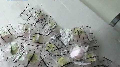 AHP-400S Servo Driven Horizontal Flow Wrapper with custom-made feeder