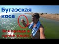 Бугазская коса. Не приезжайте сюда пока не посмотрите это видео. Море, пляж, цены. (Папа Может)