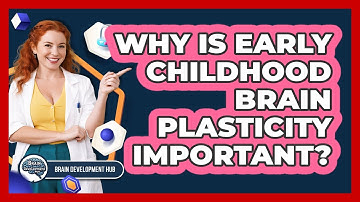 Why Is Early Childhood Brain Plasticity Important?