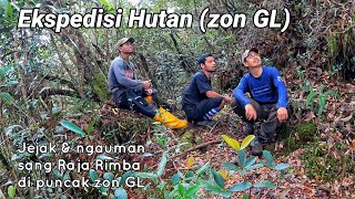 Ekspedisi Hutan (zon GL).