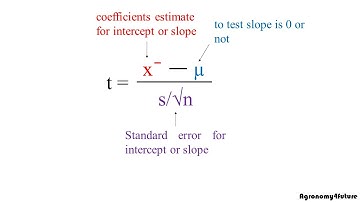 Simple linear regression (4/5)- t value on the slope and intercept