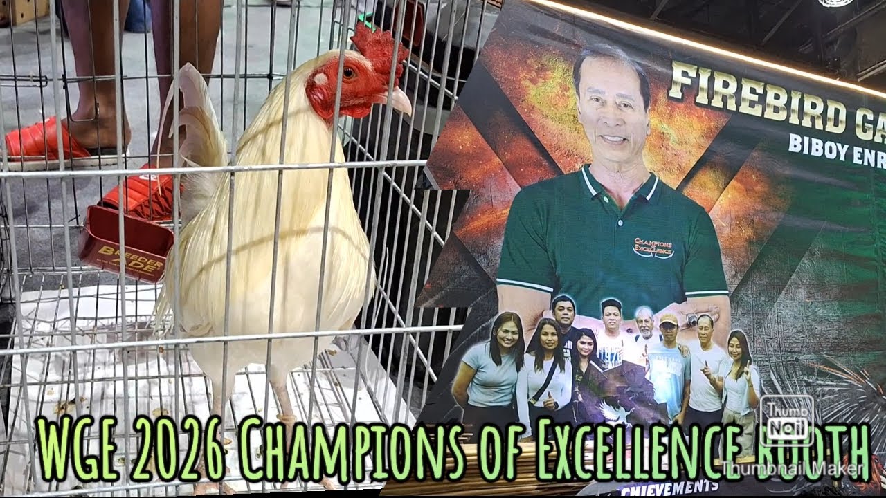 Mga beteranong mga breesers at ang kanilang mga signature lines