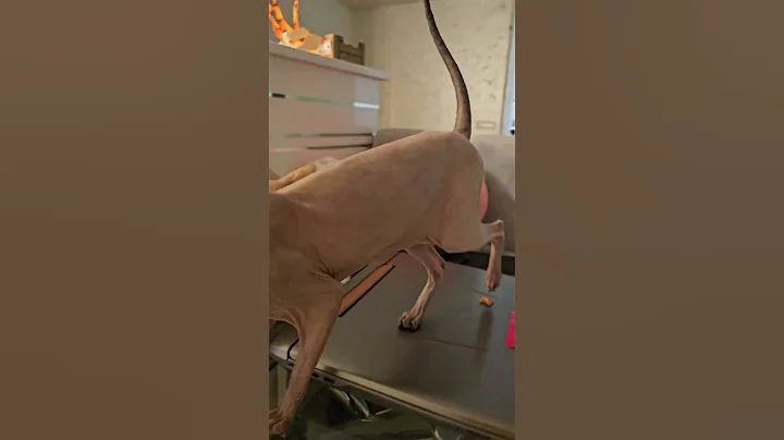 Watch the video about Epic Ear Twirls