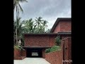 Video Image