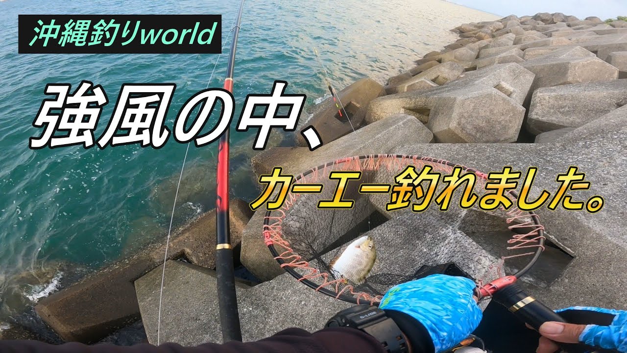 嵐の中の天国！　【沖縄フカセ釣り】（１０７）