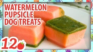 How to Make: Watermelon Pupsicle Dog Treats