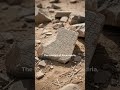WHY Do Civilizations Stop Preserving Knowledge Before Collapse?