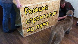 РЕАКЦИЯ СТРОИТЕЛЕЙ НА ПУМУ / Новый дом для Пумыча РЕАКЦИЯ СТРОИТЕЛЕЙ НА ПУМУ / Новый дом для Пумыча