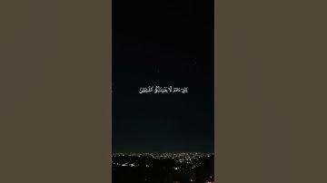 القارئ ناصر القامي🌱| #قران_كريم #قرآن #ناصر_القطامي