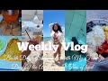 WEEKLY VLOG: FAMILY VISTS ME, BEACH DAYS, MIAMI AQUARIUM, SHOPPING &amp; TONS OF FOOD