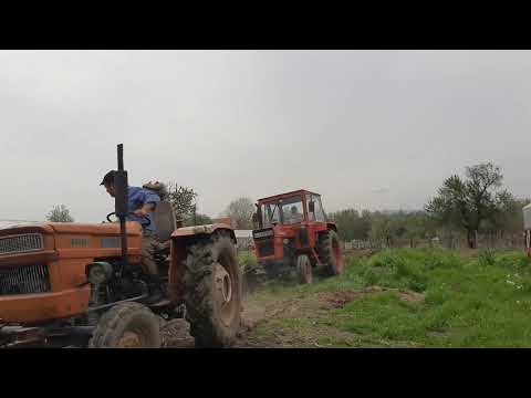 U650&Fiat450 Arăm cu