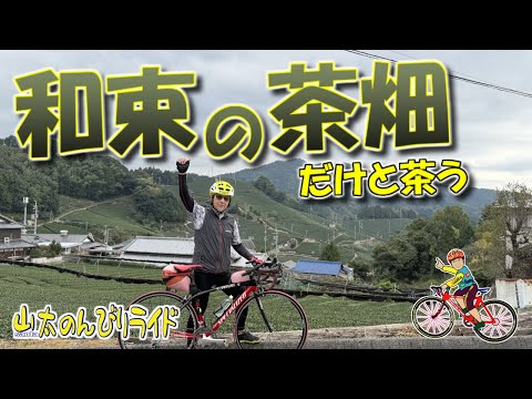 【ロードバイク】大正池からお茶の和束へ、恭仁宮史跡や海住山寺のヒルクライムなど盛りだくさんのライドです。