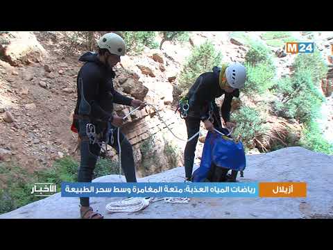 فيديو: الزنبق الشرقي مقابل الزنبق الآسيوي - ما الفرق بين الزنابق الآسيوية والشرقية