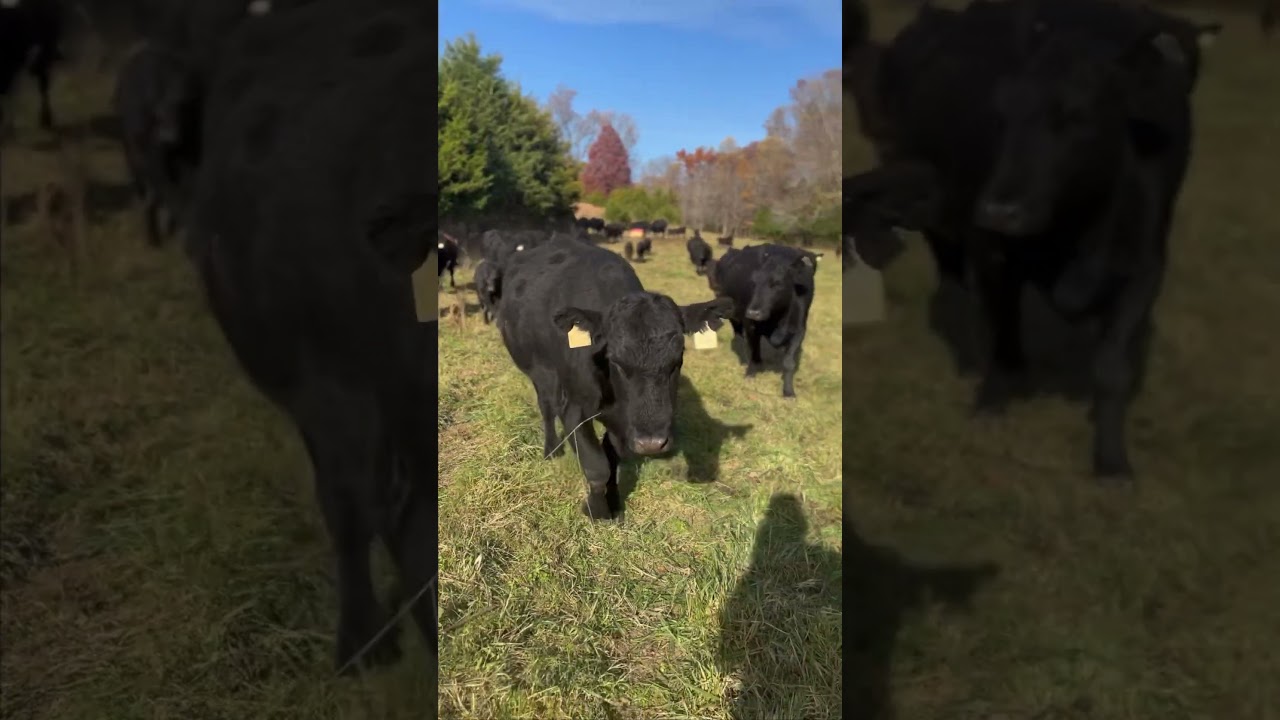 Work hard for your dreams!