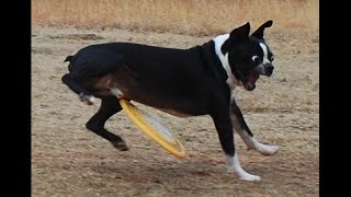 En Deği̇şi̇k Fotoğraflar Derlemesi̇ Olur Bu 