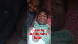 Purwa Hy Dah Do Halayv Halay