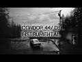 CONDOR 44 / "db" INSTRUMENTAL
