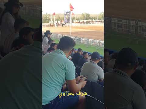 معرض الفرس سربة شراف بحراوي