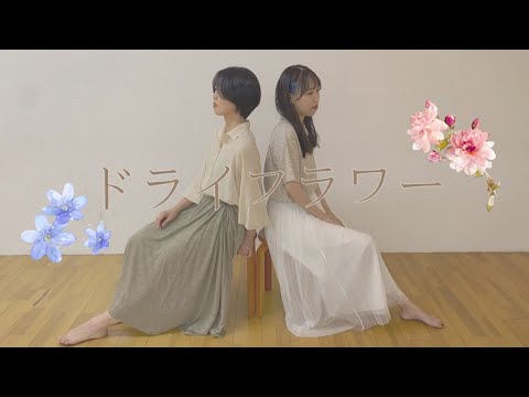 【p.m.plum】ドライフラワー 踊ってみた【オリジナル振付】