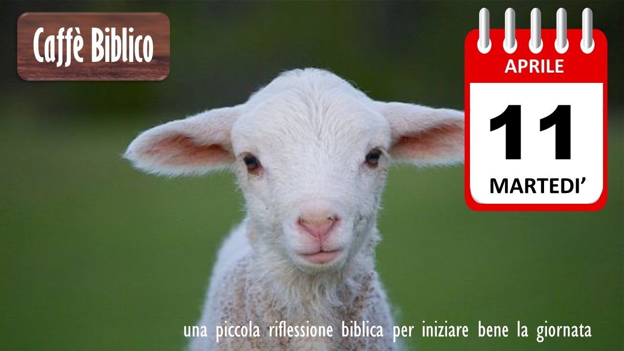 IO NON LO MANGIO Caffè Biblico dell'11.4.2023 - YouTube