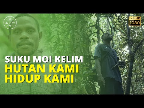 SUKU MOI KELIM | Hutan Kami Hidup Kami | Malagufuk