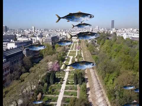 Flying fish