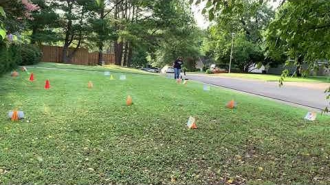 AKC Rally Intermediate Course 3