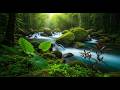 Flowing Forest River Sounds with Soft Bird Chirping | Peaceful Nature for Deep Sleep & Relaxation