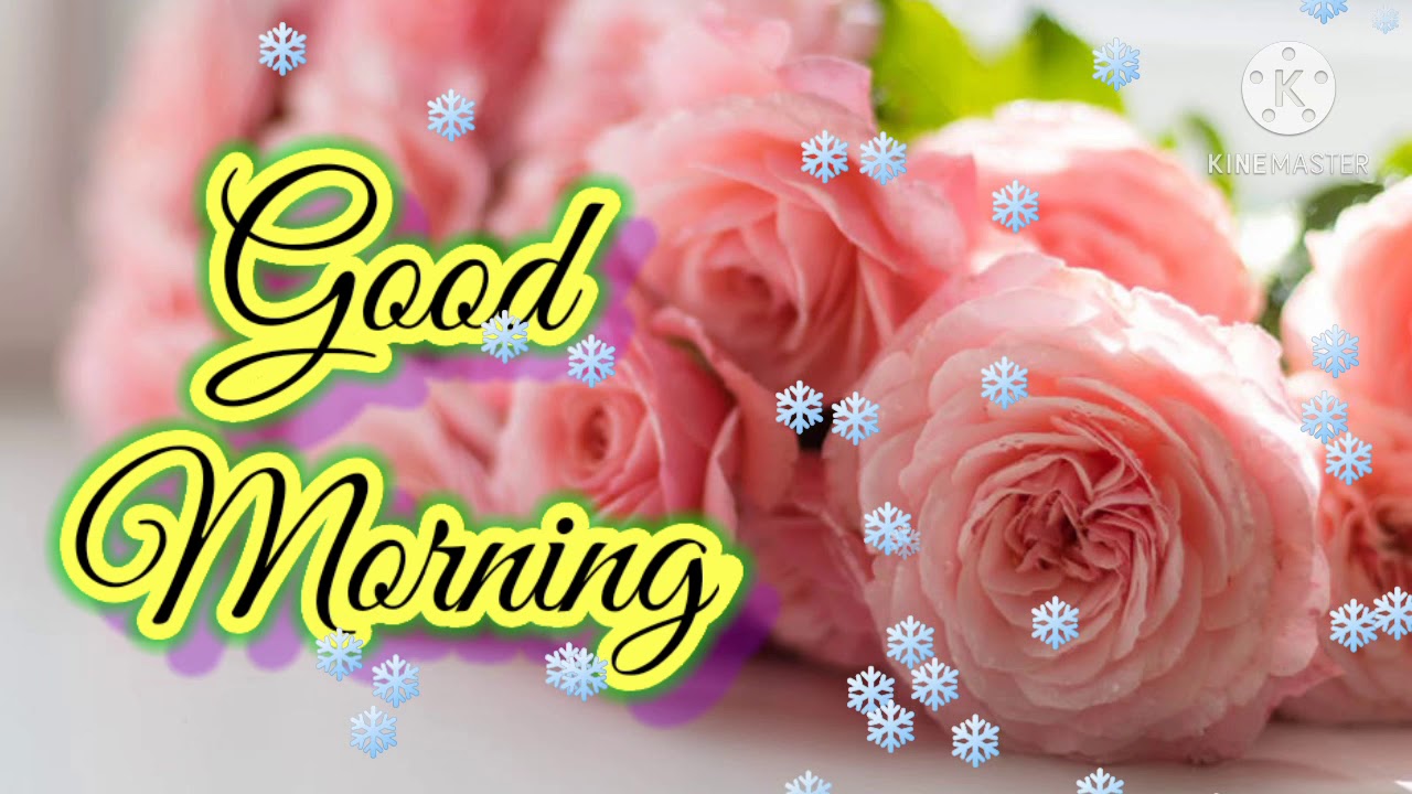 Good Morning Status video with flowers and music for share chat ...