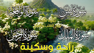 سورة  يس+الملك+الرحمن+الواقعة(تلاوة هادئة😴😌) 2023💚 القارئ حذيفة الكعيد💚
