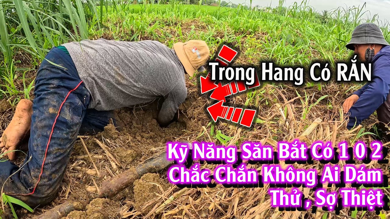 Địa điểm SĂN lý tưởng, đi 3 gò đất bắt được 3 con RẮN | TGSB #1048