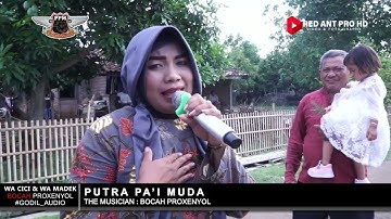 LINTANG RAINA | VOC.TASNI PPM ft FAHMI PPM | PUTRA PAI MUDA | DS.CEMPEH BLOK H.MUSTAM KEC.LELEA