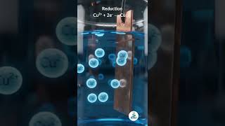 Daniell Cell Explained in 40 Seconds | NEET & JEE Electrochemistry #neet2027 #electrochemistry