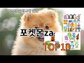 쿠팡알리 포켓몬za 알리익스프레스 최신템 TOP10 - 직접 써봤습니다