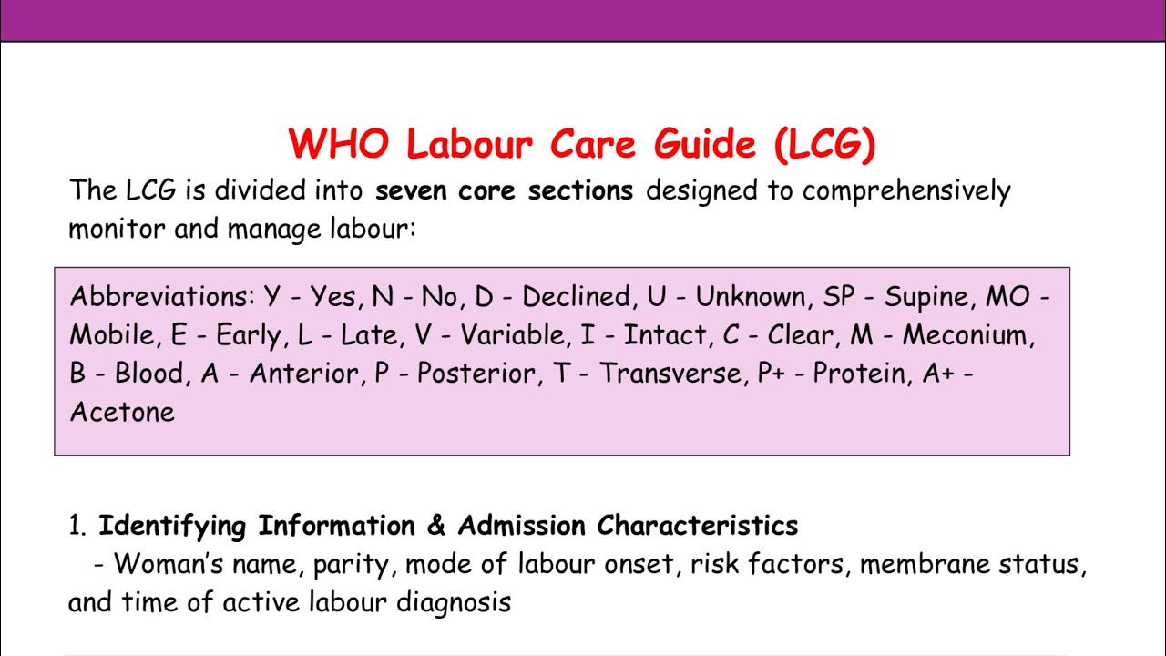 who-labour-care-guide-by-wasan-ali-rawag-youtube