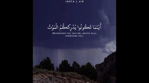 القارئ محمد النقيدان سورة (النساء)