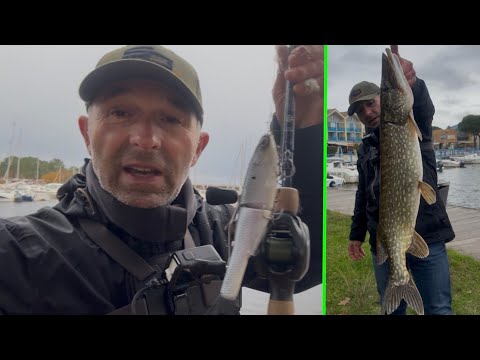 This MAGIC lure triggered an ATTACK from a big PIKE right under the boat #fishing