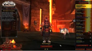 world of warcraft (laptop step22)Shadowlands Simple Tome Bone-Binding Undead Hunter pets Cerberon