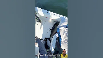 The Best Tuna Fish Fishing Fish Fishboat Fishhard On Boat Fishing 