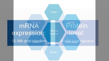 Altogen Biosystems Polymer in vivo Transfection Tutorial